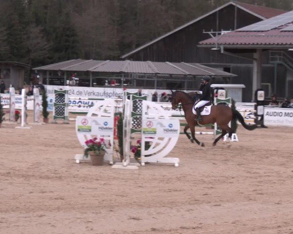 Reitturnier Ranshofen - Braunau am Inn 2025