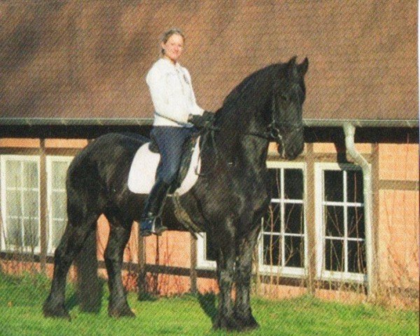 horse Trude fan´s Simmerdyk (Friese, 1998, from Rypke 321)