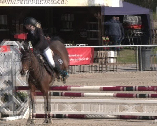 Reitturnier Olfen 2025