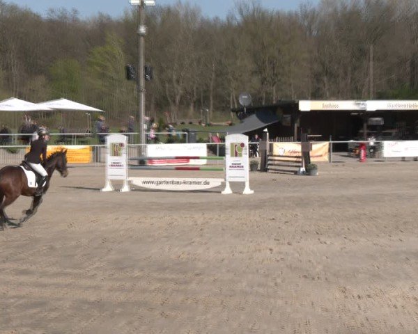 Reitturnier Olfen 2025