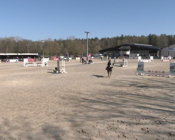 Reitturnier Olfen 2025