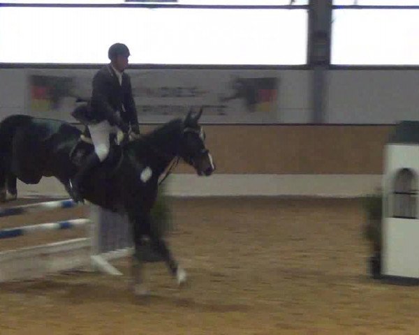 Late-Entry-Turnier 2013
