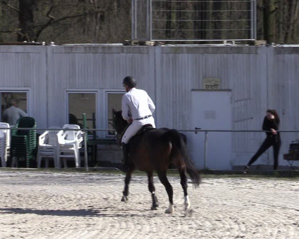 Reitturnier Pietzpuhl 2025