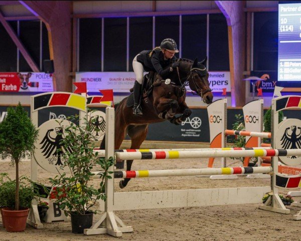 jumper Cascali (Holsteiner, 2014, from Cascadello II)