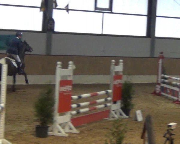 Late-Entry-Turnier 2013