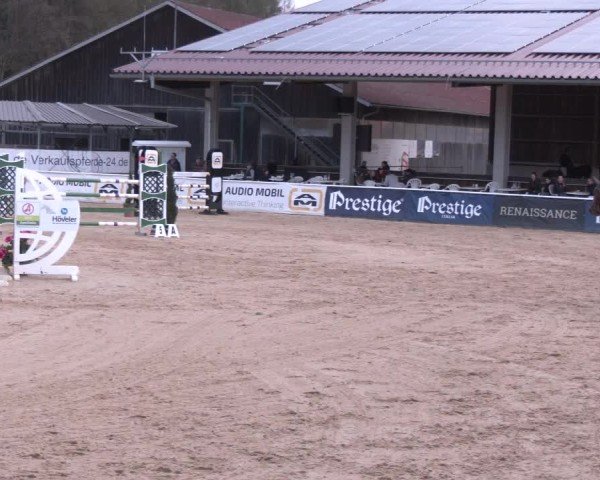 Reitturnier Ranshofen - Braunau am Inn 2025