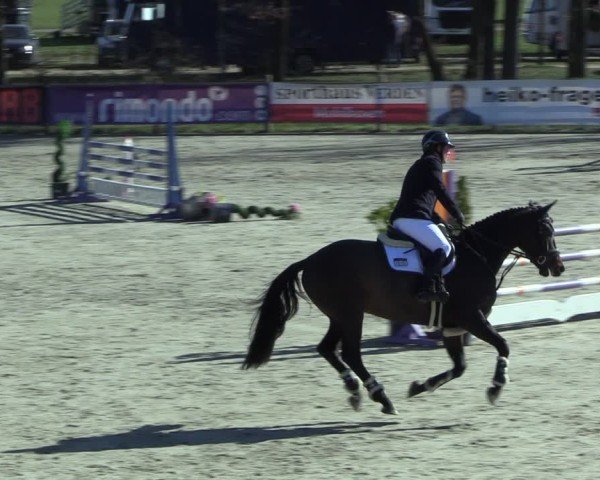 Reitturnier Westergellersen 2025