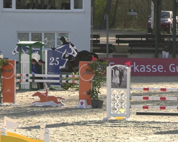 Reitturnier Balve-Wocklum 2025