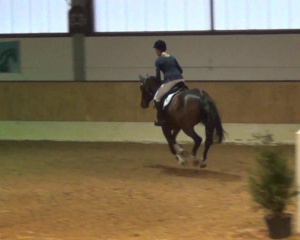 Late-Entry-Turnier 2013