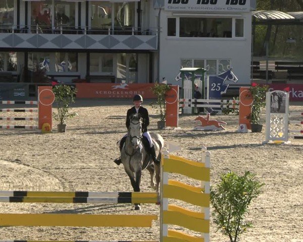 Reitturnier Balve-Wocklum 2025