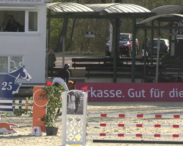 Reitturnier Balve-Wocklum 2025