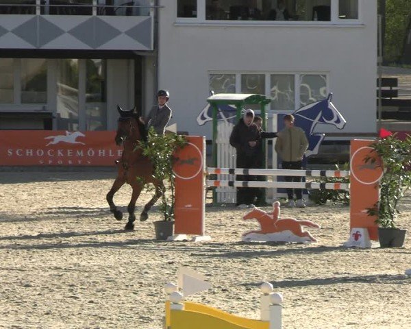 Reitturnier Balve-Wocklum 2025