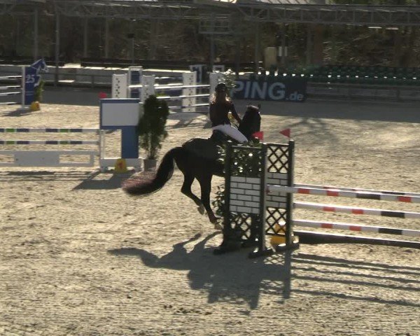 Reitturnier Balve-Wocklum 2025