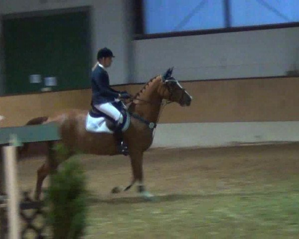 Late-Entry-Turnier 2013