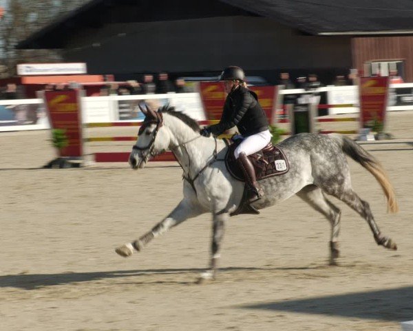 Reitturnier Memmingen 2025