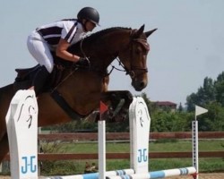 broodmare Cavinea (Mecklenburg, 2015, from Clondyke 4)