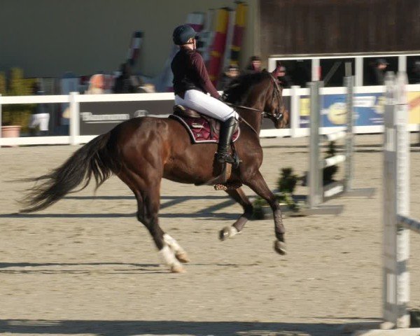 Reitturnier Memmingen 2025