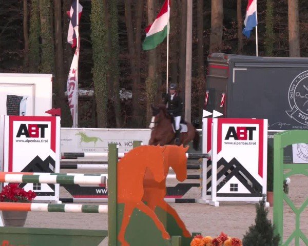 Reitturnier Ranshofen - Braunau am Inn 2025