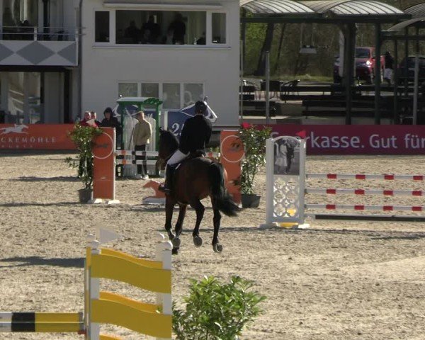 Reitturnier Balve-Wocklum 2025