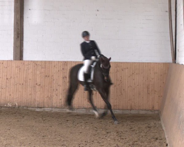 Reitturnier Olfen 2025