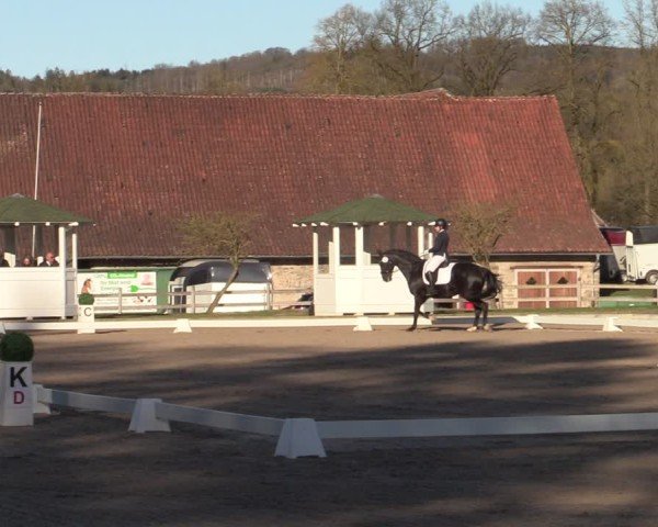 Equestrian Show Balve-Wocklum 2025