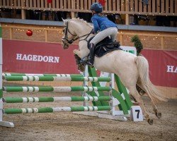 dressage horse Romina Gold (German Riding Pony, 2011, from Rheingold)