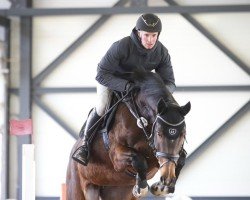 broodmare Balouna G (Hanoverian, 2016, from Balou du Rouet)