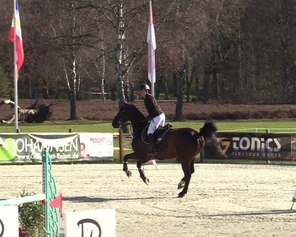 Reitturnier Westergellersen 2025