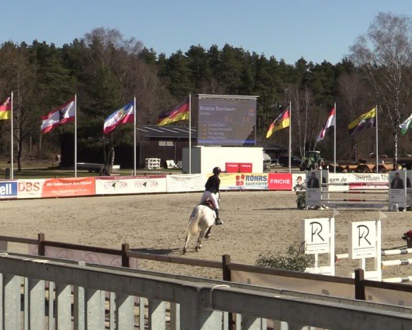 Reitturnier Westergellersen 2025