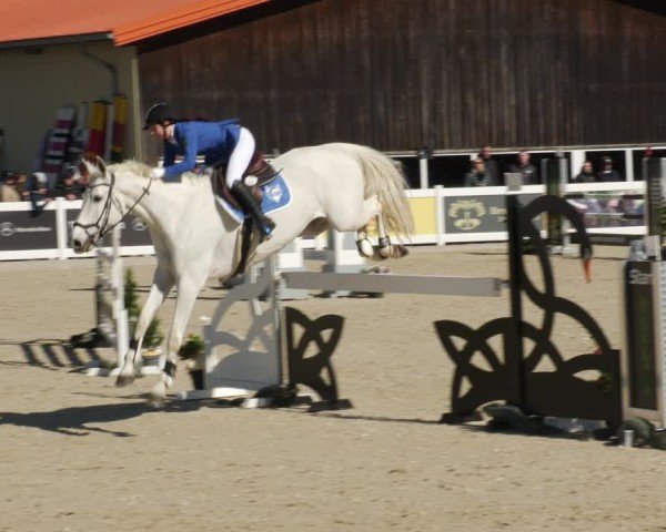 Reitturnier Memmingen 2025