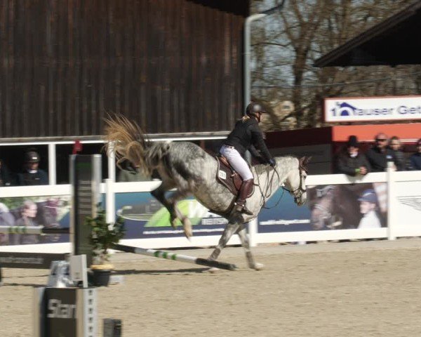 Reitturnier Memmingen 2025