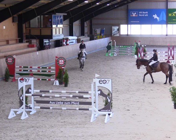 Reitturnier Niebüll 2025