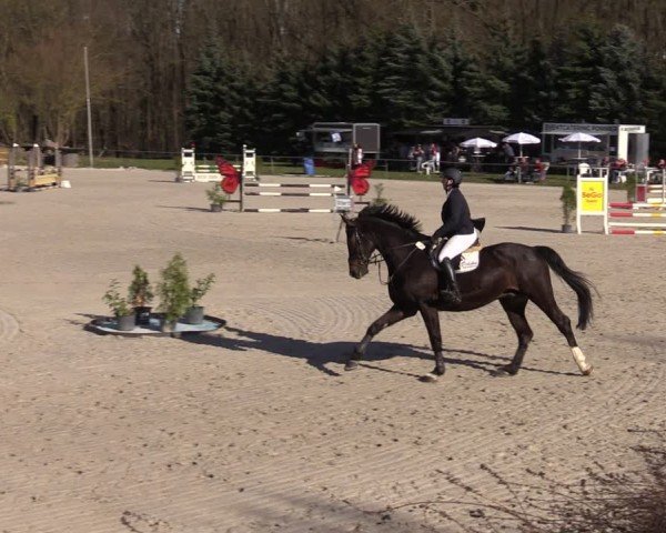 Reitturnier Pietzpuhl 2025