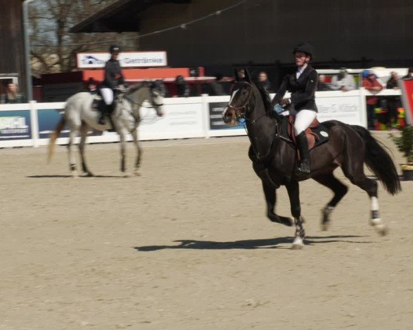 Reitturnier Memmingen 2025