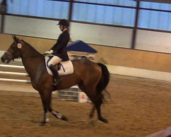 Late-Entry-Turnier 2013