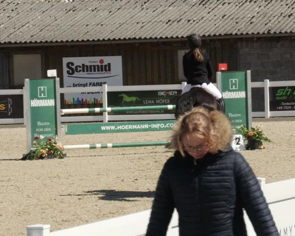 Reitturnier Memmingen 2025