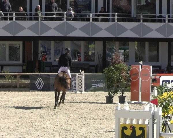 Reitturnier Balve-Wocklum 2025