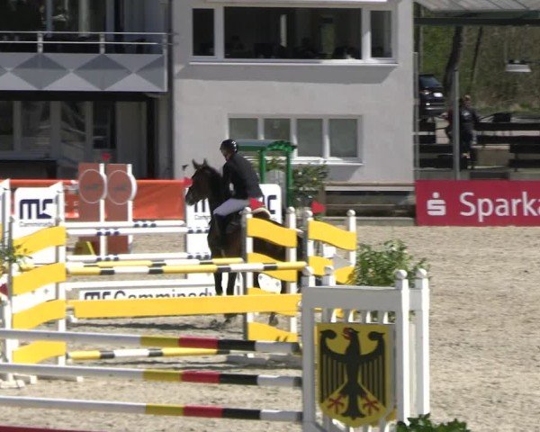 Reitturnier Balve-Wocklum 2025