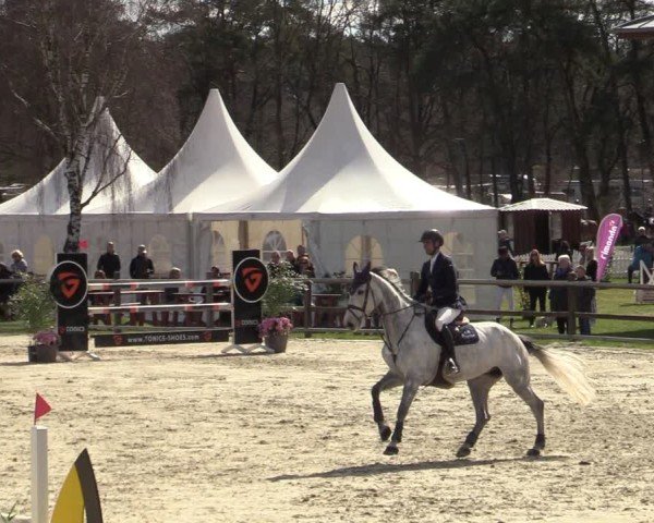 Reitturnier Westergellersen 2025