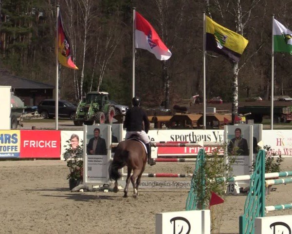 Reitturnier Westergellersen 2025