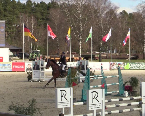 Reitturnier Westergellersen 2025