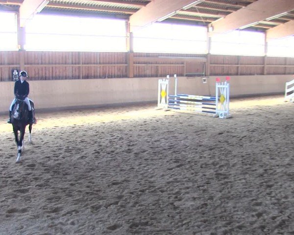 Reitturnier Marktredwitz 2025
