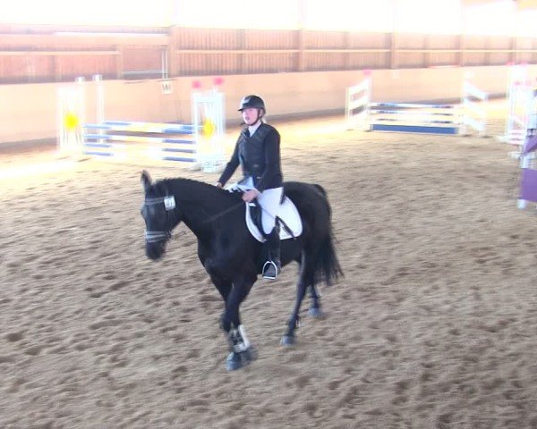 Reitturnier Marktredwitz 2025