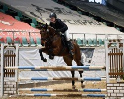 jumper Diarada G (Oldenburg show jumper, 2019, from Diarado)