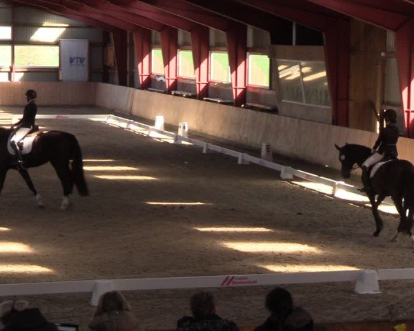Reitturnier Süderlügum 2025