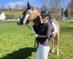 dressage horse Jolie Claire HS (German Riding Pony, 2013, from Sweet Little Dream HS)