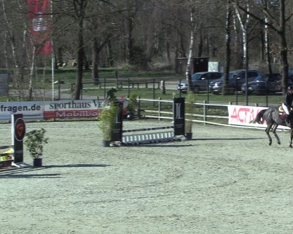 Reitturnier Westergellersen 2025