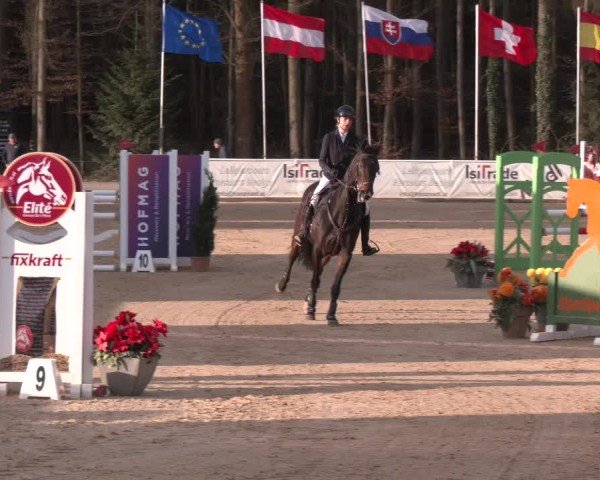 Reitturnier Ranshofen - Braunau am Inn 2025