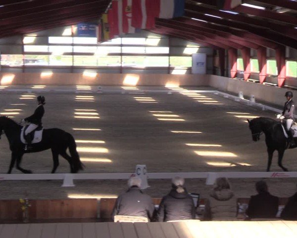 Reitturnier Süderlügum 2025