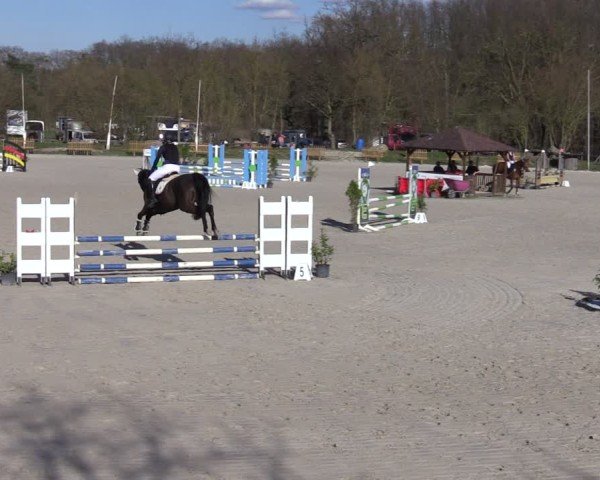 Reitturnier Pietzpuhl 2025